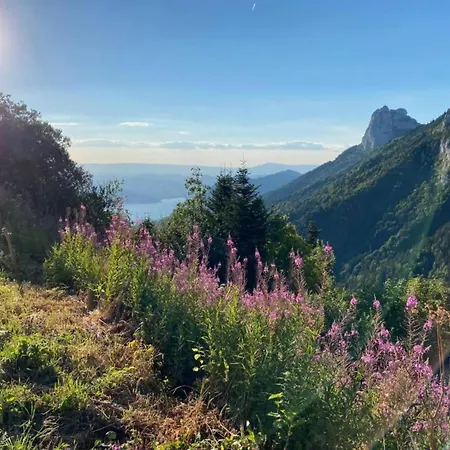 Great Near Annecy